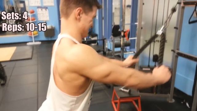 Back & Biceps Workout - Hypertrophy Training+ Fat burning