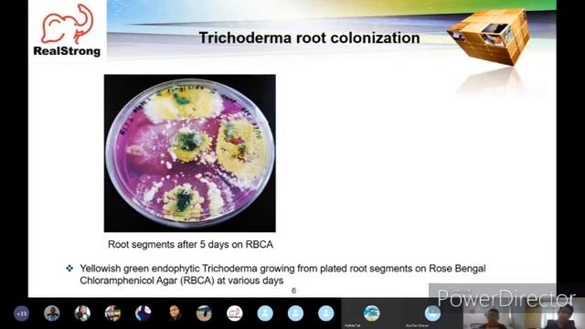 Trichoderma Introduction & Function