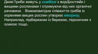 Загальна характеристика грибів