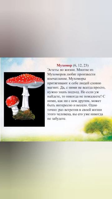 Польза мухоморов #микродозинг#сушеные мухоморы#все для здоровья