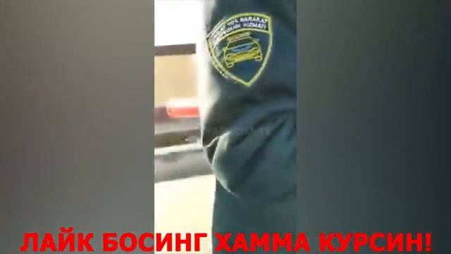 БУ ЙПХ (ГАИ) ХОДИМИ ШАВКАТ МИРЗИЁЕВНИ КАРОРИНИ БИР ТИНГА ОЛМАС ЭКАН!
