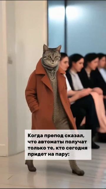 Летит на пару