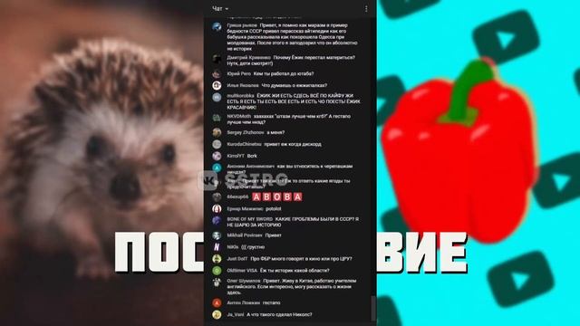 @hedgehogfox | Разбор стрима с marazm и общение // 2021-03-05