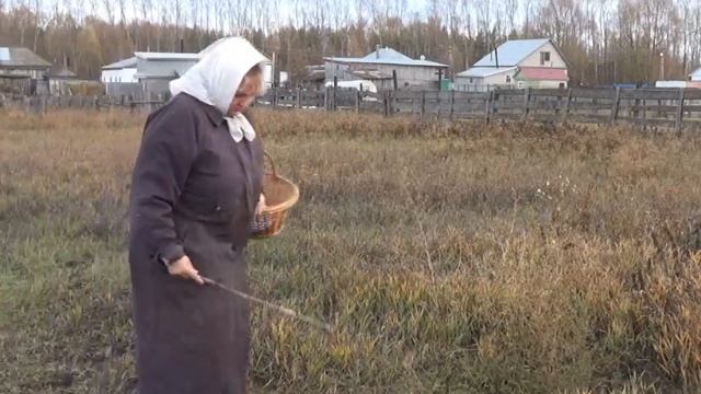 Сценки "Считалки" "За грибами=))"