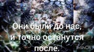 чтение #жизнь #чувства #литература #поэзия #
