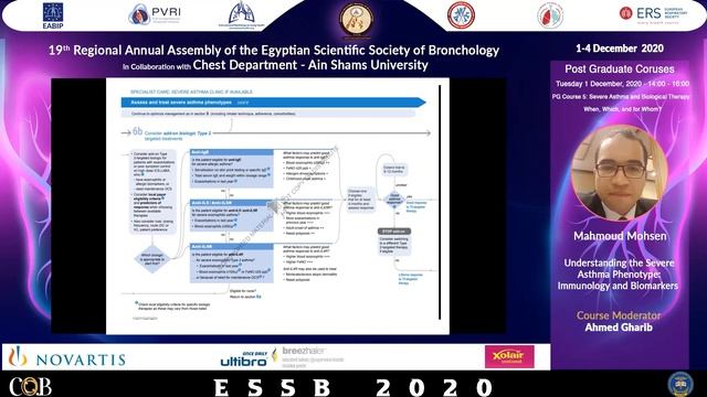 ESSB 2020 - PG5 - Severe Asthma and Biological Therapy When, Which, and for Whom