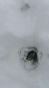 ЗИМНИЙ НАЛИМ