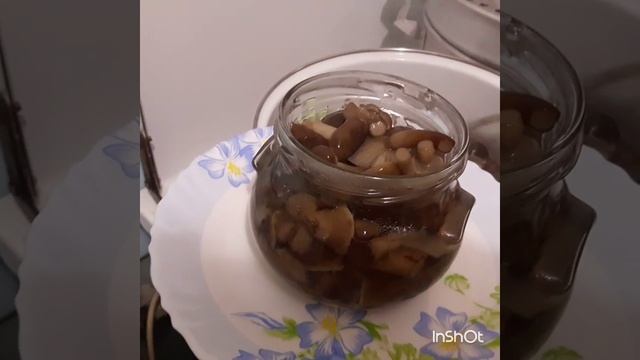 Маринуем опята финал