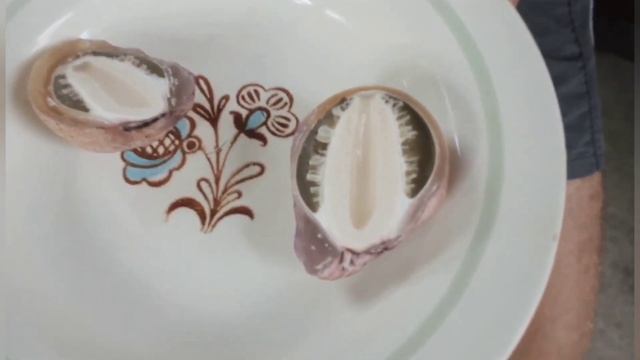 ВЕСЕЛКА І ЕРЕКЦІЯ. Чоловіча сила в грибові.