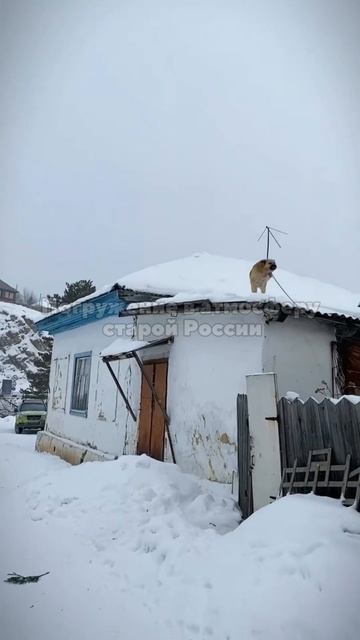 Отдых наедине с природой