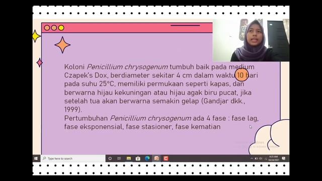 Fungi Penicillium chrysogenum