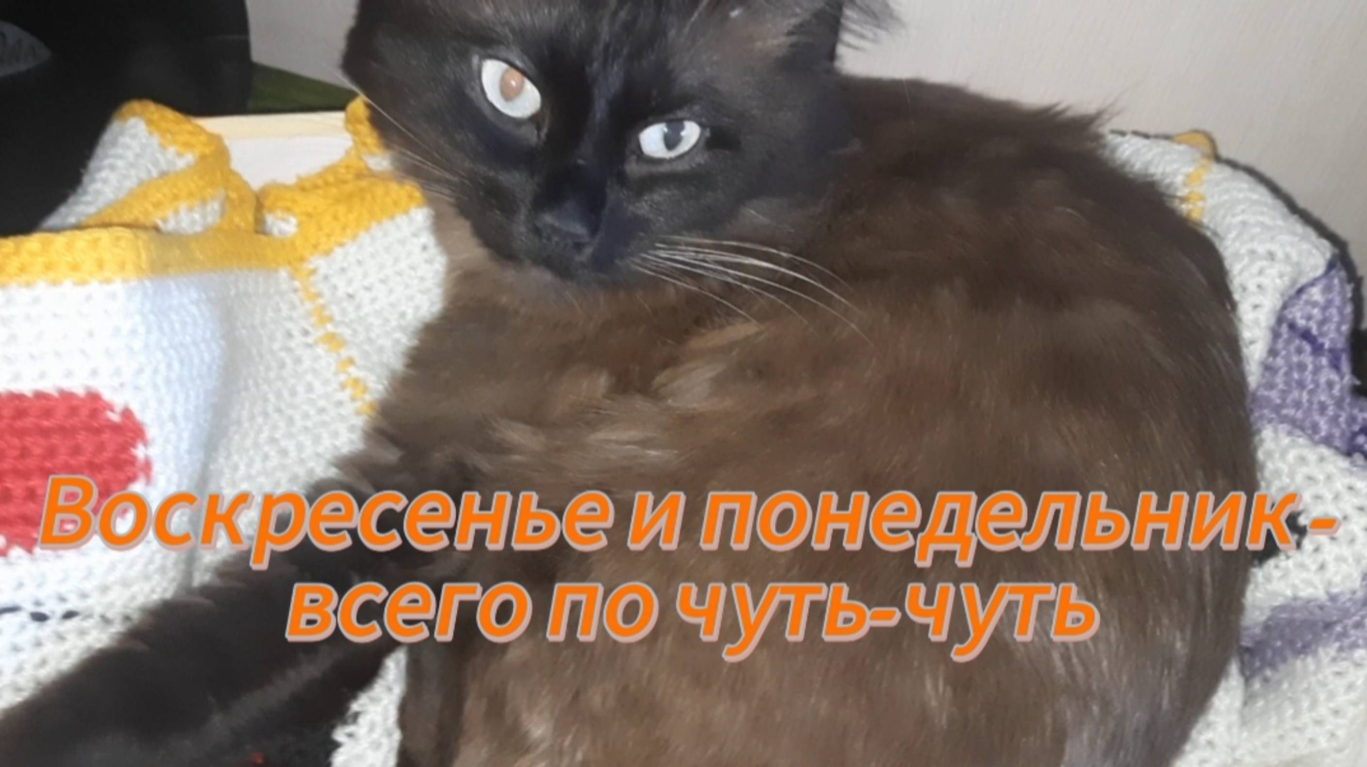 Воскресенье и понедельник - всего по чуть-чуть