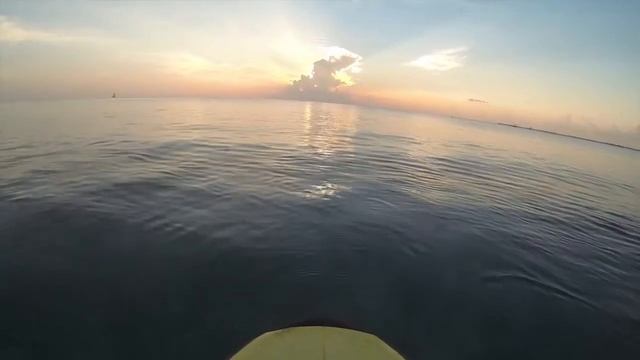 Sunset Paddleboarding