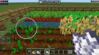 Майнкрафт. Собираем огород.
