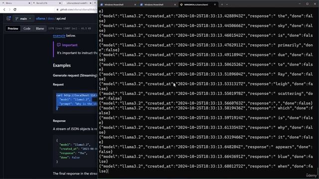12 -Ollama Raw API Requests
