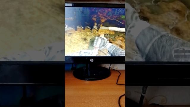 артефакт и мухомор в Тёмной Долине