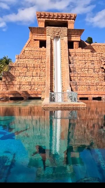 Atlantis Bahamas Shark Tank Slide #shortvideo #shorts #bahamas