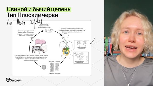 Паразитические черви для ОГЭ | Биология ОГЭ