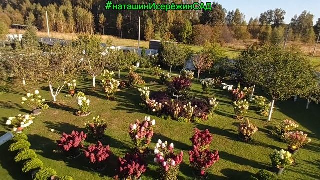 ЗДРАВСТВУЙ МИР 🤗! #наташинИсерёжинСАД