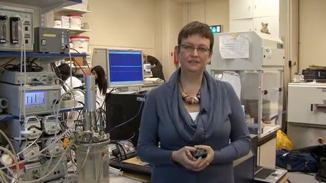 Engineered Yeast Strains for Improved Protein Production