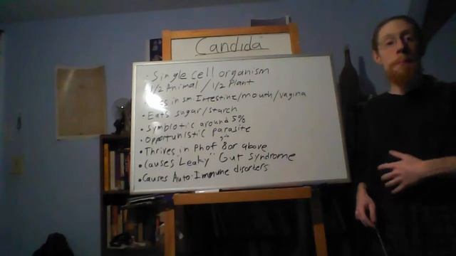 Candida: What it is and its Role in Auto-Immune Disorders