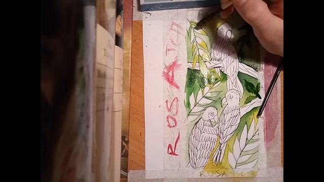 |Рисовашки#1|попугаи ару|🕊️🍃🌿|