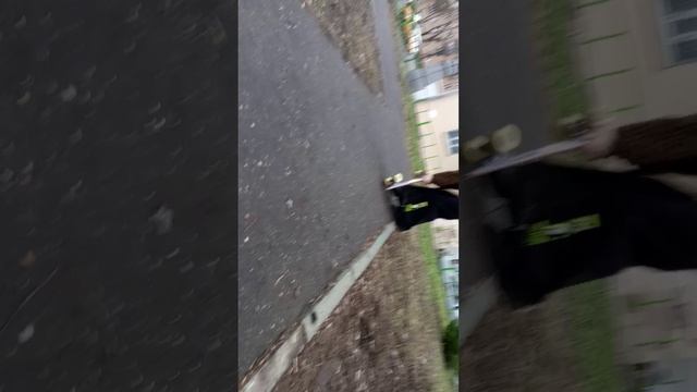 Каникулы скейтборда Стеши