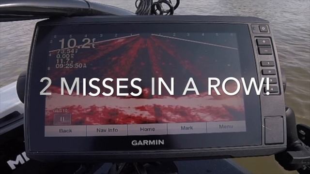 How I used LiveScope to Catch some River Catfish!