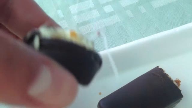 Светлогорье