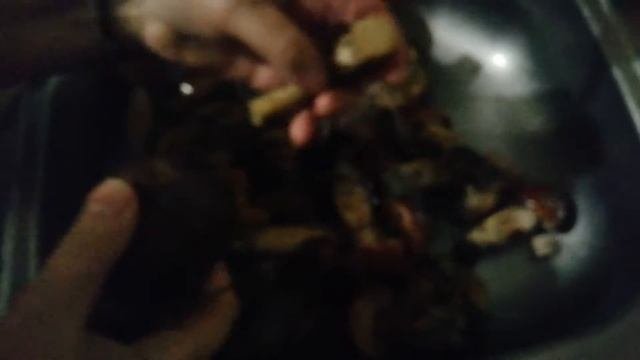 Бери грибы