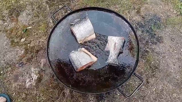 Форель на диске