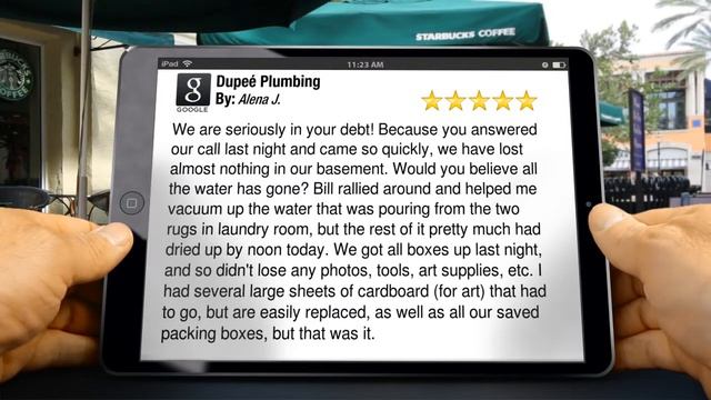 Dupee  Plumbing Fredericksburg          Perfect           Five Star Review by Alena J.