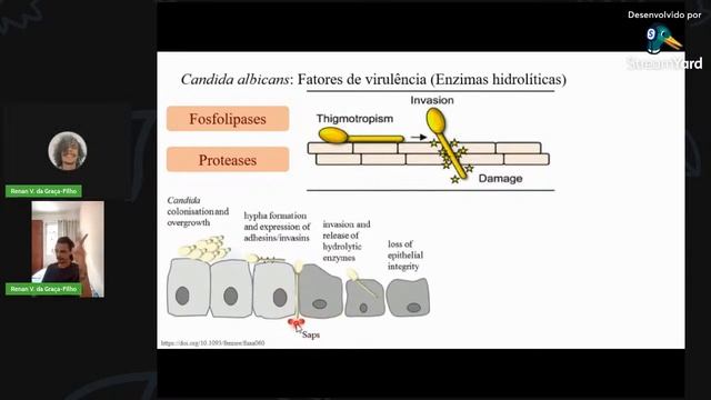 Minicurso 1 - Candida albicans: ser comensal ou patógeno, eis a questão