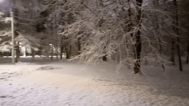 03.02.2025 г., ПН, 1-тренировочный день после великолепных спортивных выходных