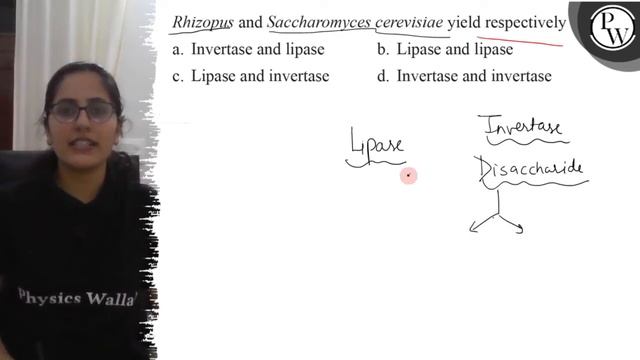 Rhizopus and Saccharomyces cerevisiae yield respectively
a. Inverta...