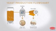 Lallemand Baking: The Art of Fermentation video