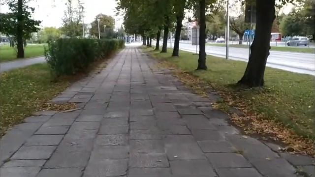 Я в Польше