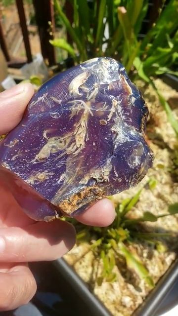 Beautiful Sumatran Blue Opal Amber with Ancient Fossil Tree Lichen Inclusions(The RJ Collection)