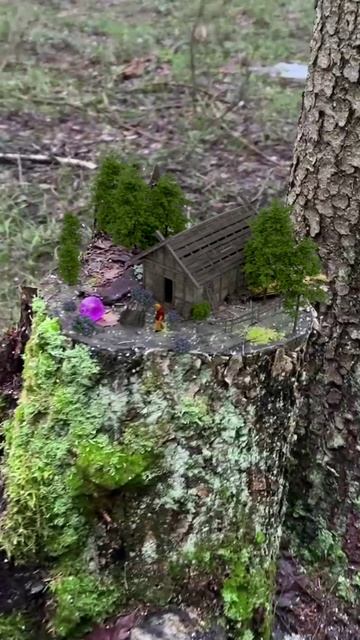 Аномалии в лесу