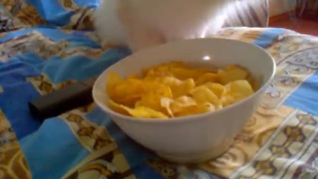 любимые чипсы LAYS