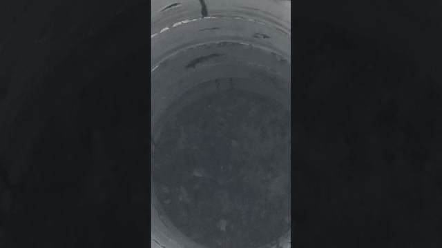 03-02-2025