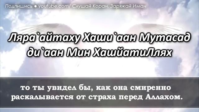 Красивый ясин