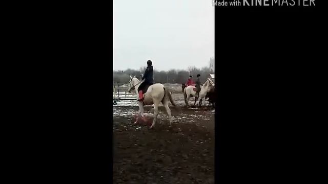 День матери на конюшне🐴🐎🐴🐎🌷🌹🌺💮🌸💐