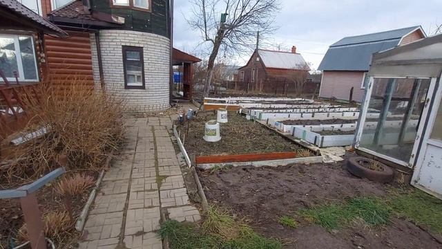 Недозима. Дача. Снега нет! Город Владимир. 2 февраля 2025-го