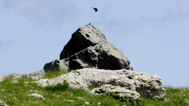 Orobie - RIFUGIO BENIGNI (sentiero 108) e CIMA PIAZZOTTI