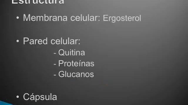 Tmmed infectología - infecto vasquez 1 2