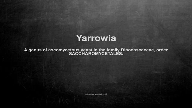Medical vocabulary: What does Yarrowia mean
