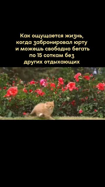 Как ощущается жизнь когда…
