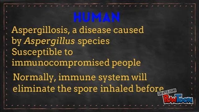 Impact Of Aspergillus