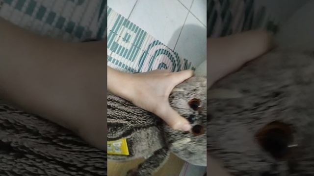 придумываем лайфхаки